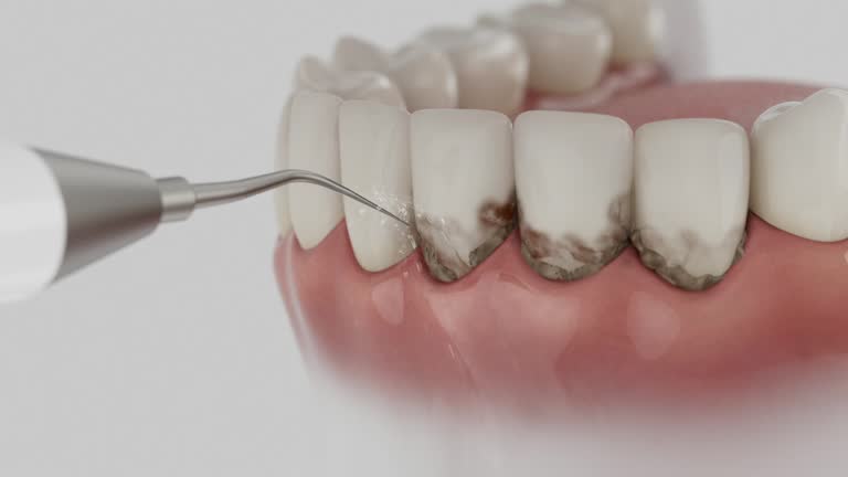 Reliable Dental contractor in Muse, PA by Dentist Open Now